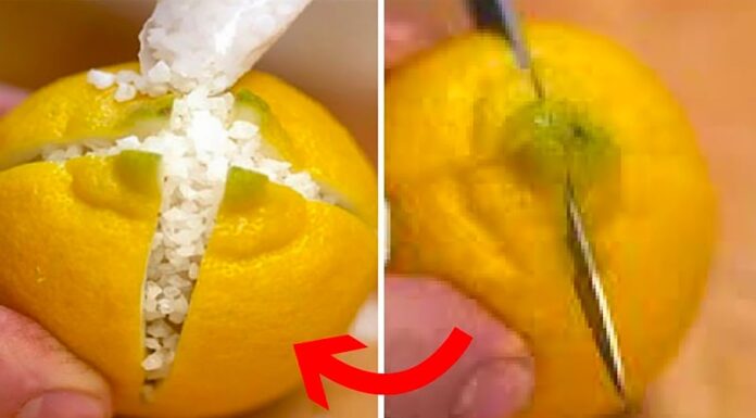 Unlock the Secrets to Wealth and Prosperity: A Lemony Twist