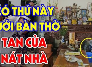 The Four Lucky Charms for a Healthy and Prosperous Home: A Guide to Placing These Items at Your Altar’s Feet