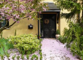 When You See These 5 Signs at Your Doorstep, You’re Blessed by the God of Wealth: A Guide to Attracting Abundance