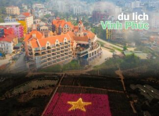 Exploring Vinh Phuc: Unfurling the Majestic Flag Amidst the Dragon Fruit Gardens