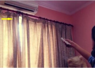 Should You Keep the Doors Closed While Using Air Conditioning? Many Are Making This Mistake.