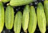 “5 Types of People Who Should Avoid Cucumbers”