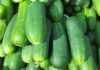 Those Who Should Avoid Eating Cucumbers