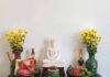5 Types of Offerings Flowers That Will Bring You Wealth: Ancestors’ Favor and Blessings for Descendants