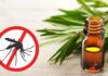 7 Natural Mosquito Repellents That Don’t Involve Chemicals