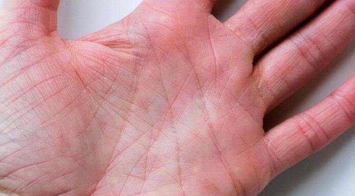 Unlocking the Secrets of Palmistry: Triangle Lines and Their Impact on Wealth and Longevity