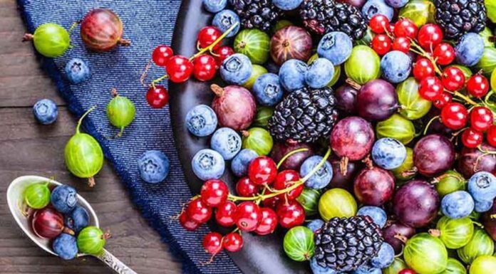 The 5 Fat-Burning Fruits: Nature’s Nutritional Powerhouses