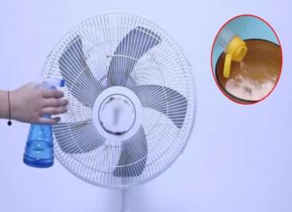 The Ultimate Guide to Cleaning Your Dirty Electric Fan: A 2-Minute Quick Fix