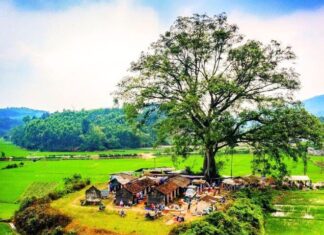The Heart of Tuyen Quang: A Glimpse into Vietnam’s Most Charming Rural Market