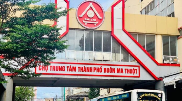 The Heart of Buon Ma Thuot: A Bustling Market with Delights from the Forest