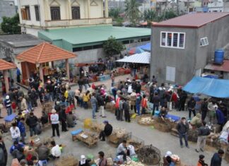 The Heart of Hai Phong: A Bustling Rural Market with All Your Needs