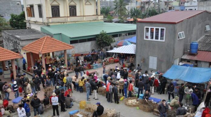 The Heart of Hai Phong: A Bustling Rural Market with All Your Needs