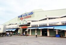 The Heart of Danang: Unveiling the City’s Largest Wholesale Market, the Non-Stop “Insomnia” Market