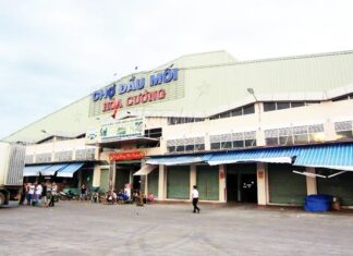 The Heart of Danang: Unveiling the City’s Largest Wholesale Market, the Non-Stop “Insomnia” Market