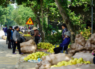 The Unique Biennial Market of Ha Tinh: A Fragrant Celebration of the “Premier Fruit”