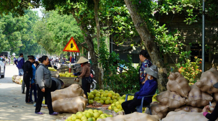 The Unique Biennial Market of Ha Tinh: A Fragrant Celebration of the “Premier Fruit”