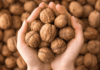 Unlock the Power of Walnuts: Nurture Your Liver, Enhance Your Memory.