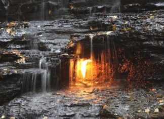 The 5 Mystifying Natural Phenomena That Leave Scientists Scratching Their Heads