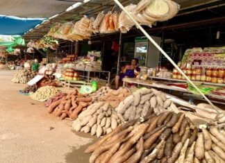 The Roadside Attraction: A Unique Marketplace in An Giang, Vietnam
Does this satisfy your request?