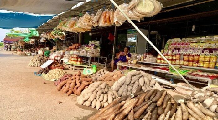 The Roadside Attraction: A Unique Marketplace in An Giang, Vietnam
Does this satisfy your request?