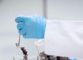 The Unique Flavor of Cascara Tea, Made from Coffee Cherry Husk