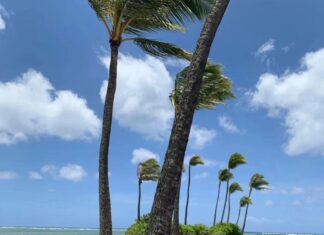 The Ultimate Summer Style Guide: IT Girls Rocking Two-Piece Ensembles with Effortless Chic