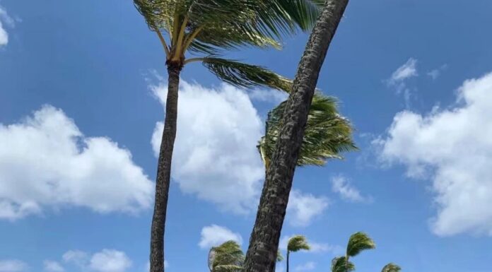 The Ultimate Summer Style Guide: IT Girls Rocking Two-Piece Ensembles with Effortless Chic