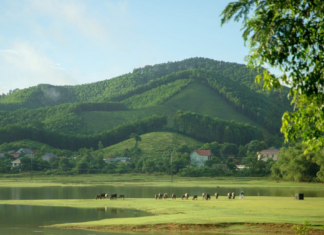 Unveiling the Land of Charm in the “King’s Homeland”: A Terrestrial Ha Long Bay with a 700-Year-Old Treasure.