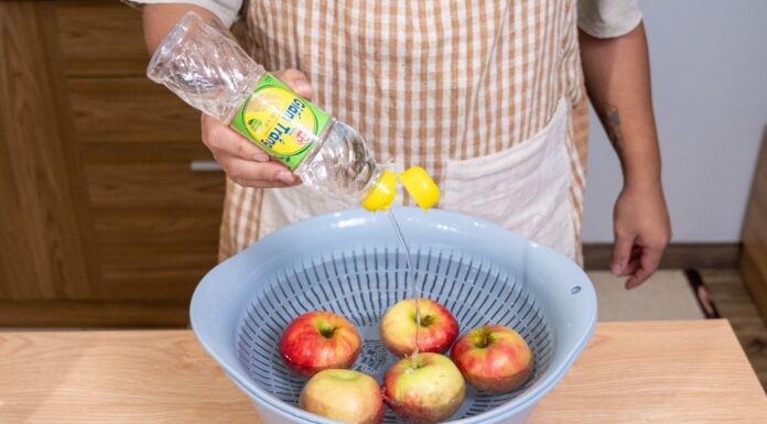 Apple Cider Vinegar – Your Multipurpose Companion for Modern Living