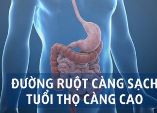 5 Evening Habits for a Healthy Liver and Gut