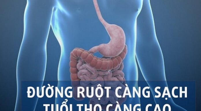 5 Evening Habits for a Healthy Liver and Gut