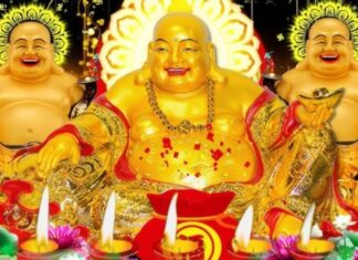 The Golden Touch: Unlocking Wealth and Abundance After 9/5