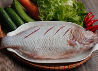 The Ultimate Brine: Transform Your Fish Dishes