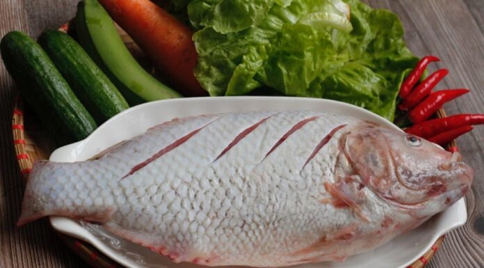 The Ultimate Brine: Transform Your Fish Dishes