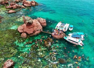 Unveiling Vietnam’s “Mini Bali”: Immerse in Breathtaking Coral Reefs and Pristine Blue Waters.