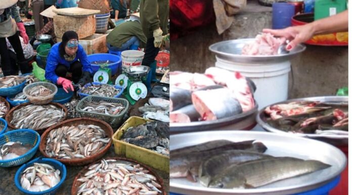 The Ultimate Guide to Cooking Fish: Gas or Electric? For Tender, Flaky Flesh and Fall-Off-The-Bone Goodness.