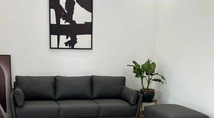 Don’t Place These 4 Things in Your Living Room: They May Bring Bad Luck and Financial Hardship