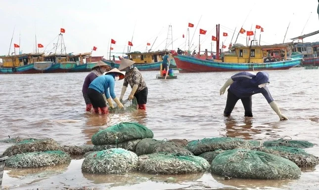 The Busiest Seafood Market in Nam Dinh: Tons of Fish and Shrimp Sold in Just Two Hours