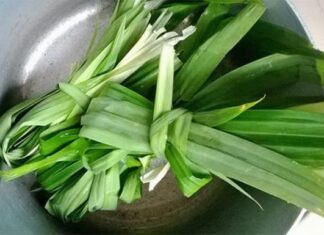 The Secret to Cooking Shrimp: How a Handful of Herbs Can Transform Your Dish