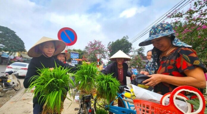 The Mystical Market in the Heart of Nghe An: A Unique Shopping Experience