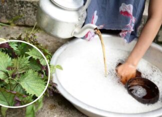 The Magic Potion for Luscious Locks: A Natural Remedy to Transform Your Tresses