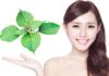 The Ultimate Beauty Secret: Discover the Power of Perilla Leaves for Clear Skin, Radiant Complexion, and a Slimmer Figure