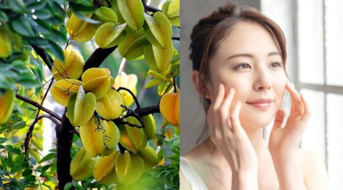 5 Surprising Beauty Hacks: Get Glowing Skin and Silky Hair with the Amazing Carambola Plant.