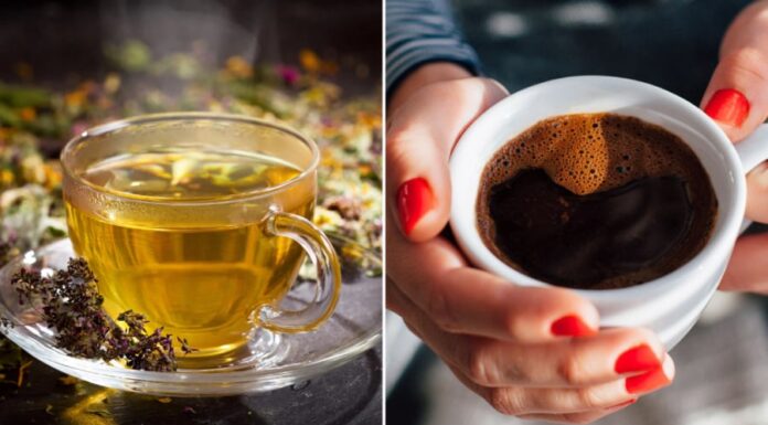 The Ultimate Zero-Calorie Drink Duo for Glowing Skin and a Slimmer You.