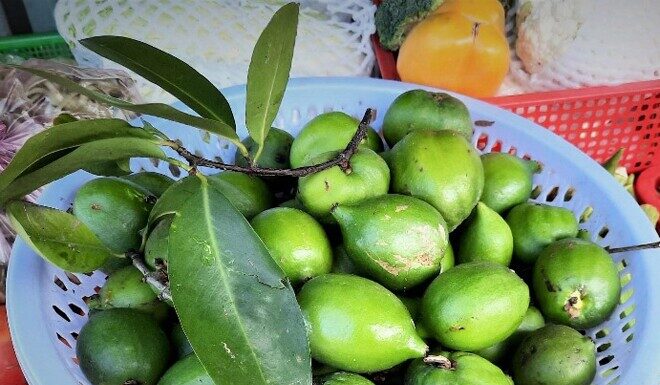 The Forgotten Fruit: A Tasty Treat Rediscovered