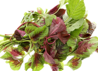 “Super Veggie with 46 Times More Folic Acid than Cucumber: The ‘Longevity Green’ That Tastes Great Stir-Fried with Garlic”