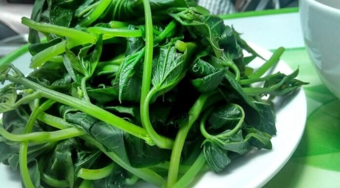 The Secret to a Slim Waist and Beautiful Figure: 4 Natural Sweet Vietnamese Vegetables that Effectively “Blast Away” Excess Fat.