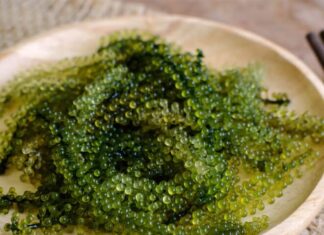 “The Vegetable Caviar”: An Affordable Superfood That Turns Back Time
