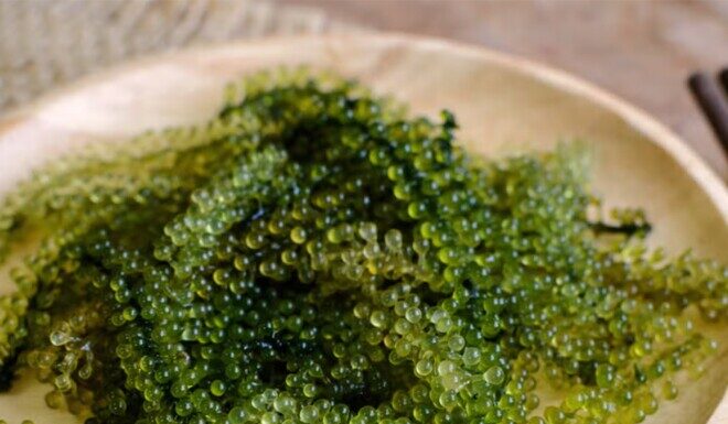 “The Vegetable Caviar”: An Affordable Superfood That Turns Back Time