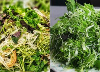 The Summer’s 3 Parasite-Prone Vegetables: A Cautionary Tale